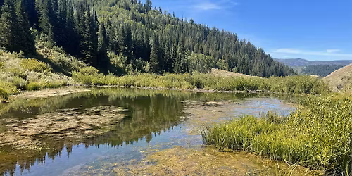 Day Trip: Bills Basin Beaver Ponds (ride with Zoo)