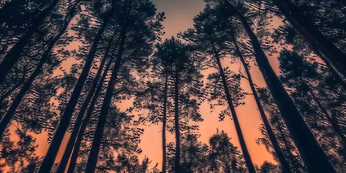 Hike & Yoga with the full moon 