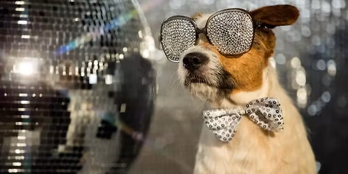 DOG DISCO: NEW YEAR PAWTY!