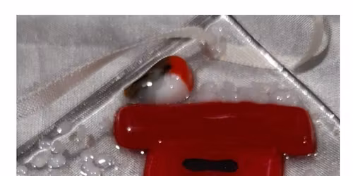 Fused Glass Workshop