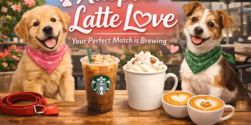 Adopt a Latte Love @ Starbucks