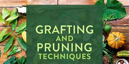 Abundant Summer Gardens \u2014 Growing with the Seasons Workshop Series Part #6
