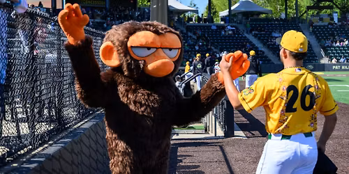 Country Night and Grumpy Monkey Appearance