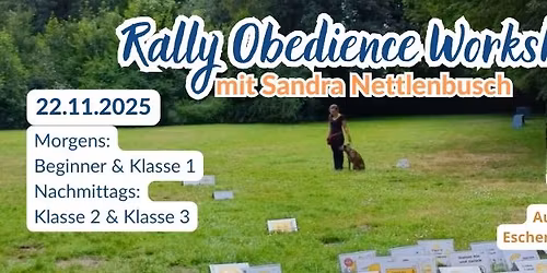 Rally Obedience Workshop mit Sandra Nettlenbusch - Beginner bis Klasse 3