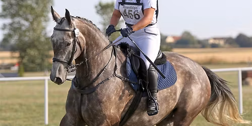 Arena Eventing clinic at The Owl House
