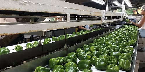 Food safety update 2026