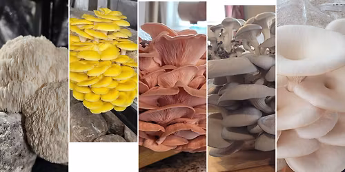 First Market of 2026