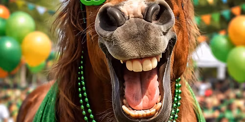 A Lucky Horse Day Camp