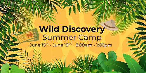 Wild Discovery Summer Camp at Norcal Elite Gymnastics