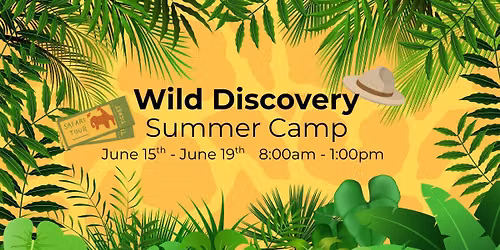 Wild Discovery Summer Camp at Norcal Elite Gymnastics