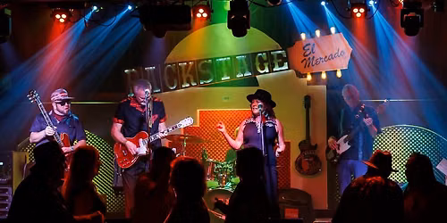 Kathy Murray and the Kilowatts Live