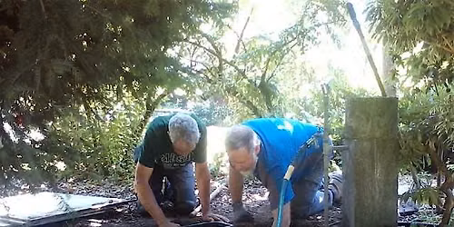 PlantAmnesty Pines & Pints: Drip Irrigation -The Good, the Bad, the Ugly