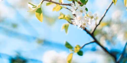 East4West Spring Festival 