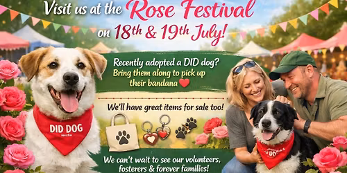 Rose Festival