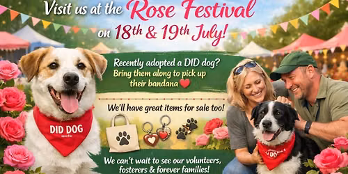Rose Festival 