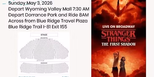 Stranger Things The First Shadow Live on Broadway 