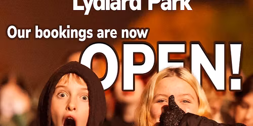 Lydiard Fireworks 2025