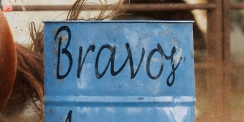 Bravos Arena 