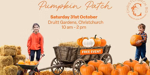 Christchurch BID Pumpkin Patch