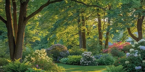 Here comes summer - are your trees & shrubs ready for what is ahead?