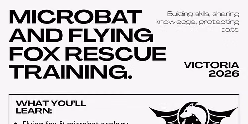 AT CAPACITY - WAITING LIST ONLY Bendigo Microbat and Flying Fox Rescue Training 29 August