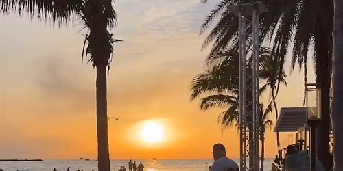 Resort Crawling Beach Night