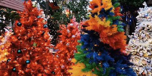 Winter Wanderland Cookie Decorating