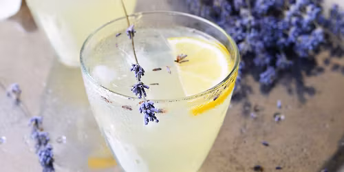 Wild Cocktails (West St. Paul)