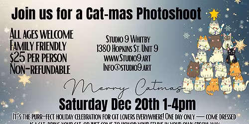 A Cat-Mas Photoshoot for Cats & Cat Lovers