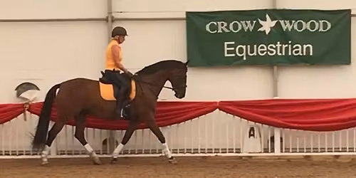 Dressage training at Crow Wood Equestrian