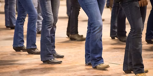 Basic Beginner Line Dance with CindyLou