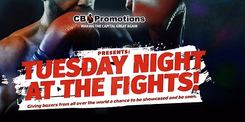 Tuesday Night At The Fights