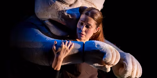 PREMJERA! L\u0117li\u0173 spektaklis suaugusiesiems \u201eA\u0161 visada \u0161alia\u201c