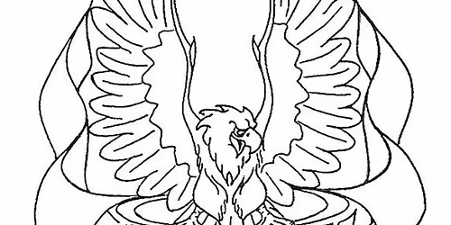 31e Open Eagle toertocht