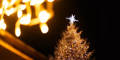 Julegrantenning i Lilleparken