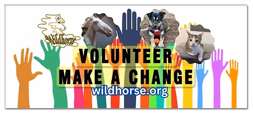 New Volunteer Orientation