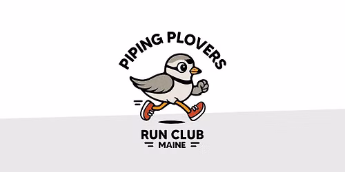 Piping Plovers Run Club