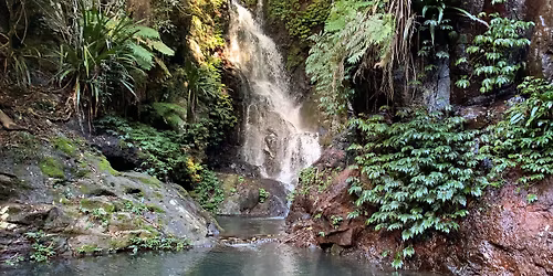 Nerang Night Hikes Weekly Mondays