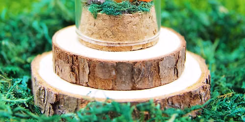 Mini Stone Mushroom Terrariums