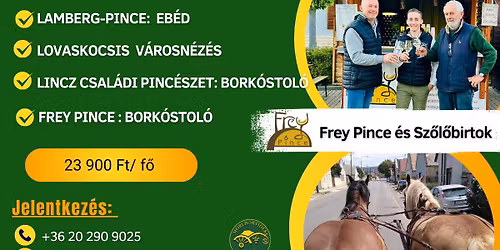 P\u00fcnk\u00f6sdi D\u0171l\u0151t\u00fara