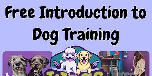 Free Dog Training