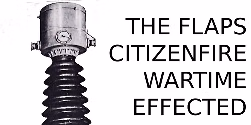 The Flaps - Citizenfire - SMD - Effected @the beauy