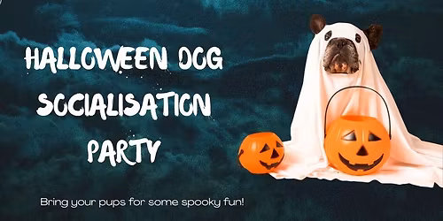 Halloween Themed Dog Social Party
