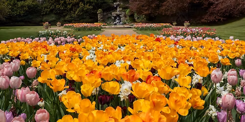 Summer Head Gardener Tour