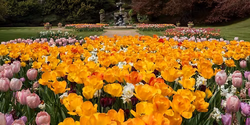 Summer Head Gardener Tour