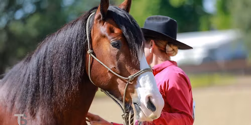 The Ultimate Horse Care & Tack Weekend