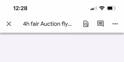 4H Auction to benefit the Hampshire County 4H Fair