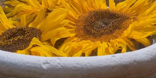 Håndlæsning og Magi i Energihuset 