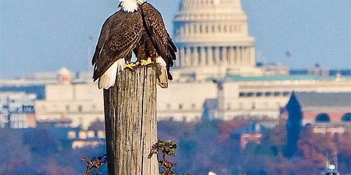 From Great American State Fair to Capitol Building: Hidden History Walk!