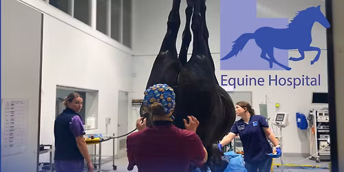 SEEH Client Seminar sponsored by CEVA